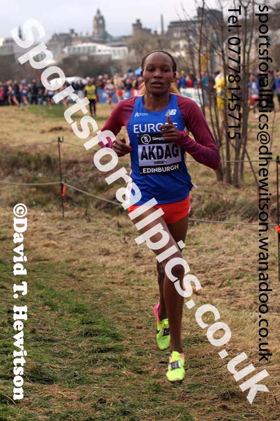 Senior womens Great Edinburgh Cross Country, 2017 Great Edinburgh Cross Country. Photo: David T. Hewitson/Sports for All PIcs